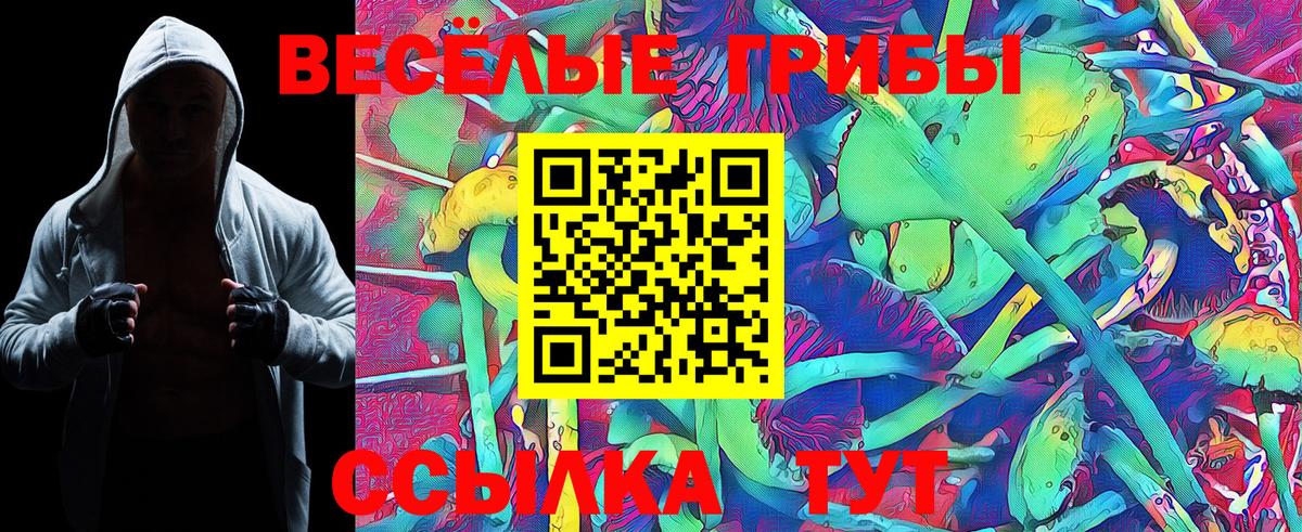 Галлюциногенные грибы MAGIC MUSHROOMS  Вход с VPN  Саратов 